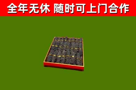 汤原县回收海参